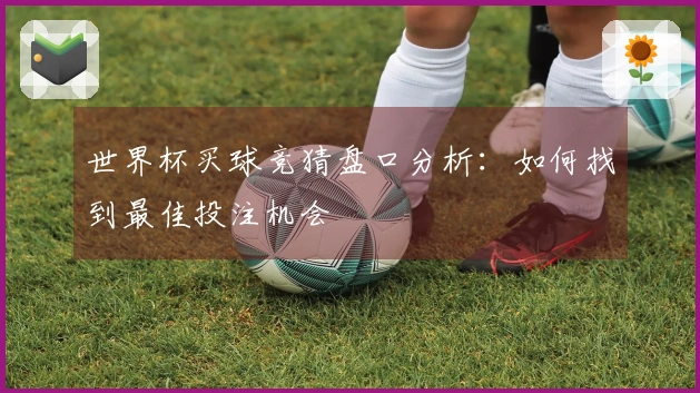 世界杯买球竞猜盘口分析：如何找到最佳投注机会
