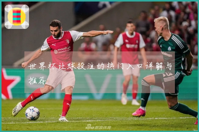 世界杯让球投注的热门入口详解与推荐