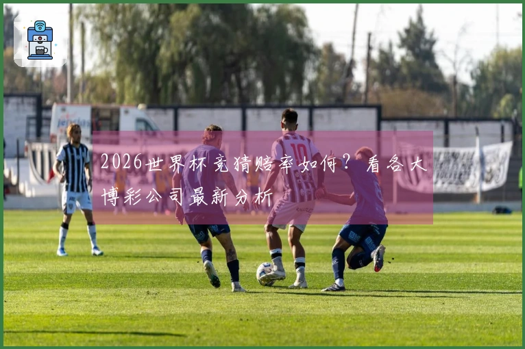 2026世界杯竞猜赔率如何？看各大博彩公司最新分析